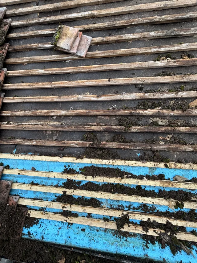 Old roof battens hold broken tiles and debris above blue boards along the eaves.