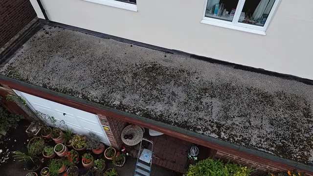 A weathered flat roof shows dark patches beside a cream wall and garden pots.