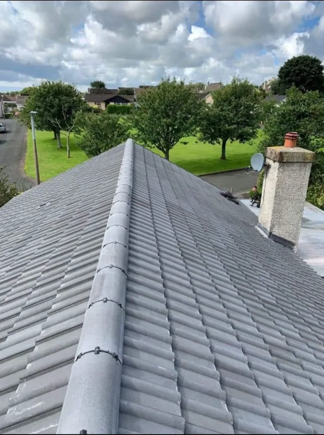 Grey ridge tiles run between two tiled slopes overlooking trees and a neighbouring chimney.